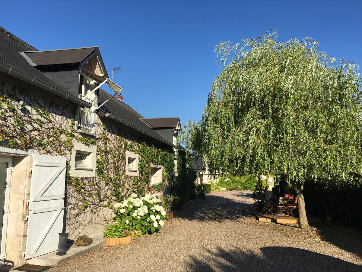 Ferme De Marpalu Panzió La Ferté-Saint-Cyr Kültér fotó
